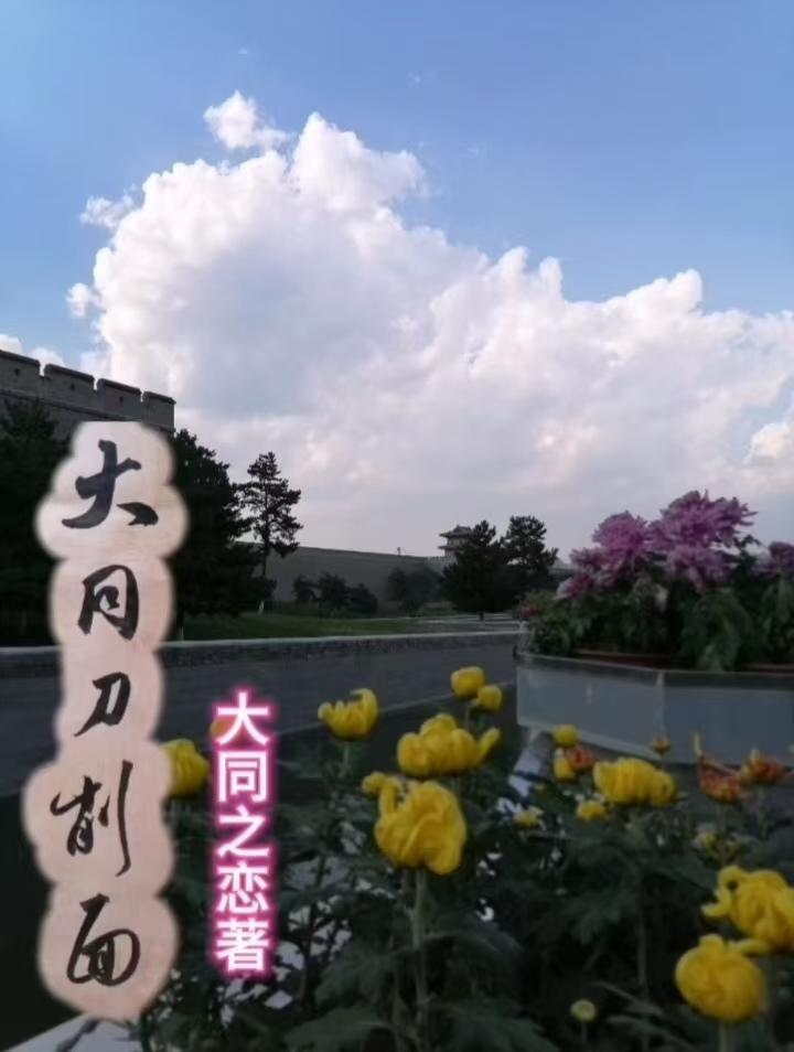 四合院：踹飞白玲，打爆易中海