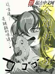 藏地密码