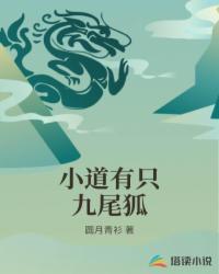 我就静静看你演!