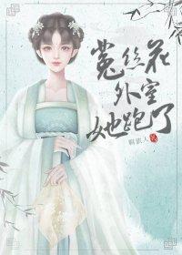 成为反派妻主后（女尊）